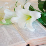 Easter Lilies and Bible