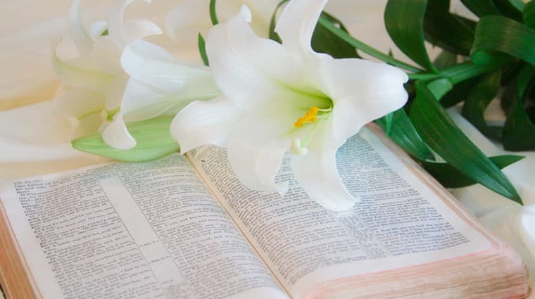 Easter Lilies and Bible