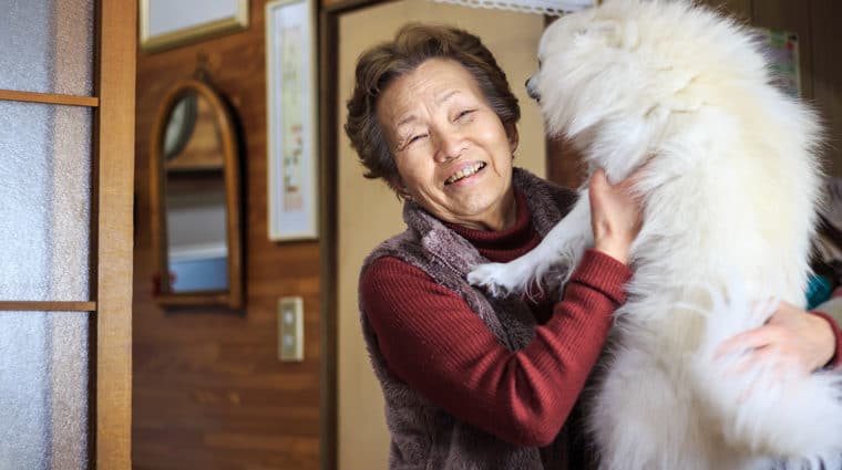 Pet food and supplies for seniors
