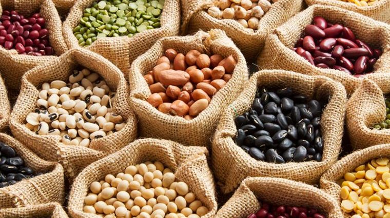 Beans Low Cost Food with High Nutrition Value