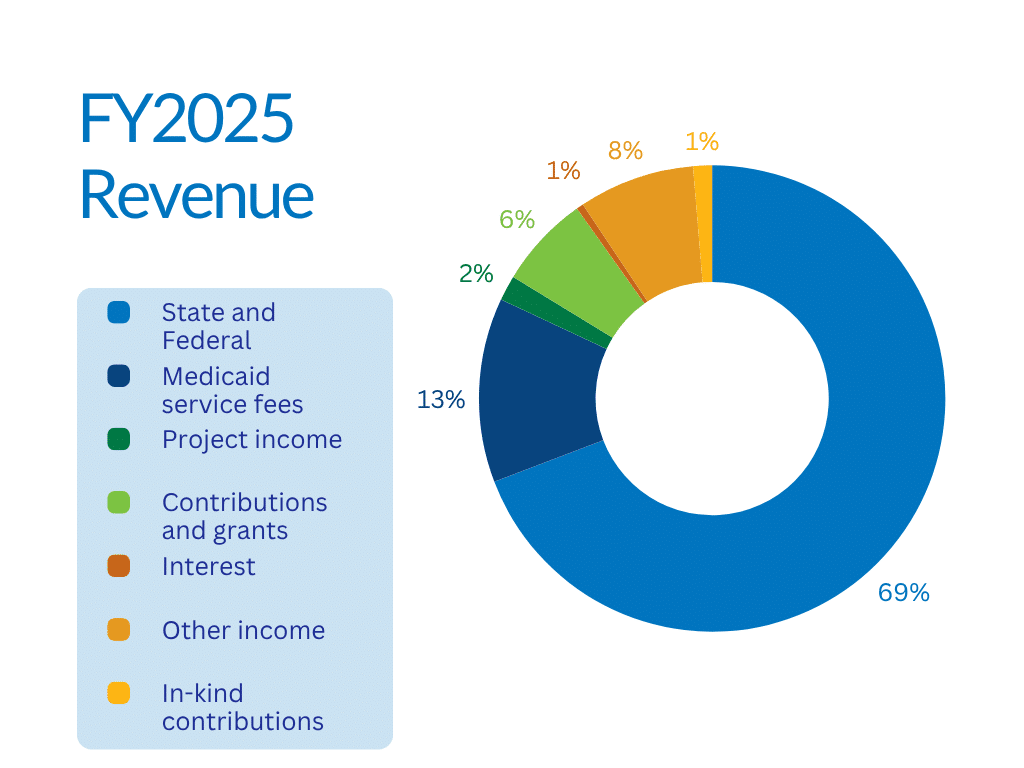 FY2025 Revenue Chart