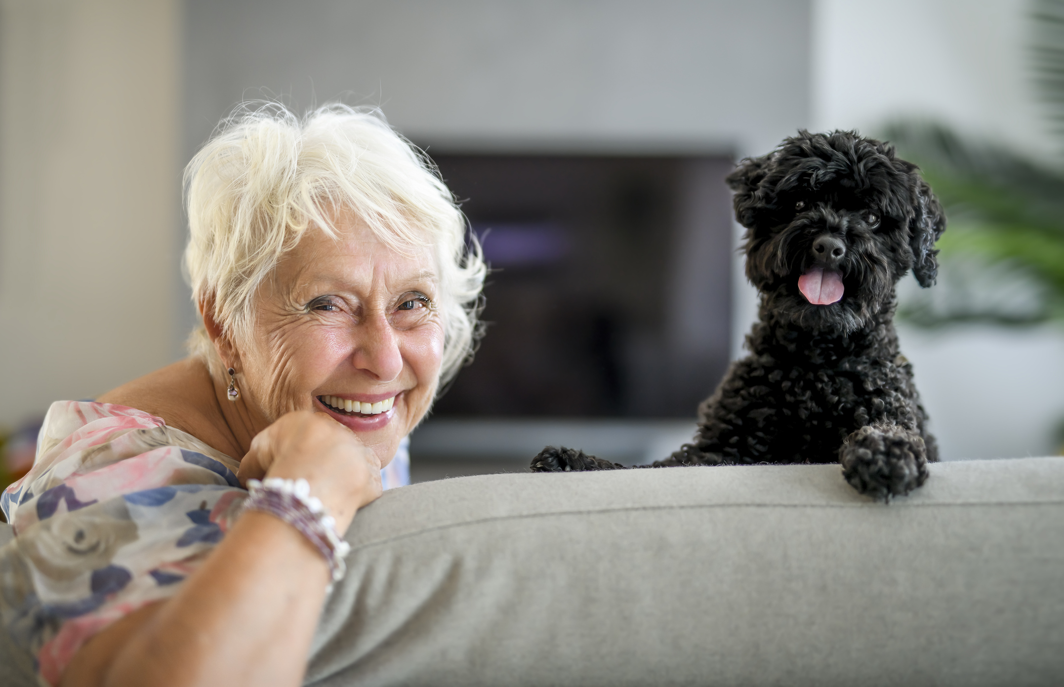 Smiling elderly woman with white hair leaning on a sofa beside a small black curly-haired dog with its tongue out nearby on the couch.