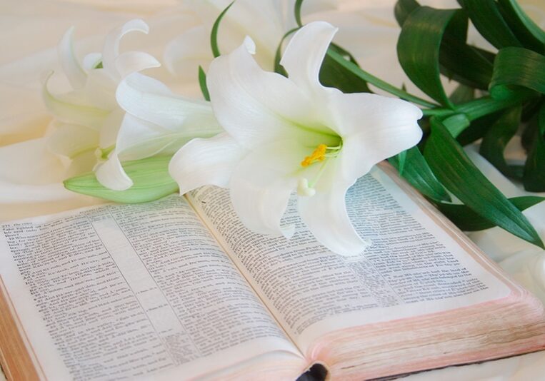 Easter Lilies and Bible