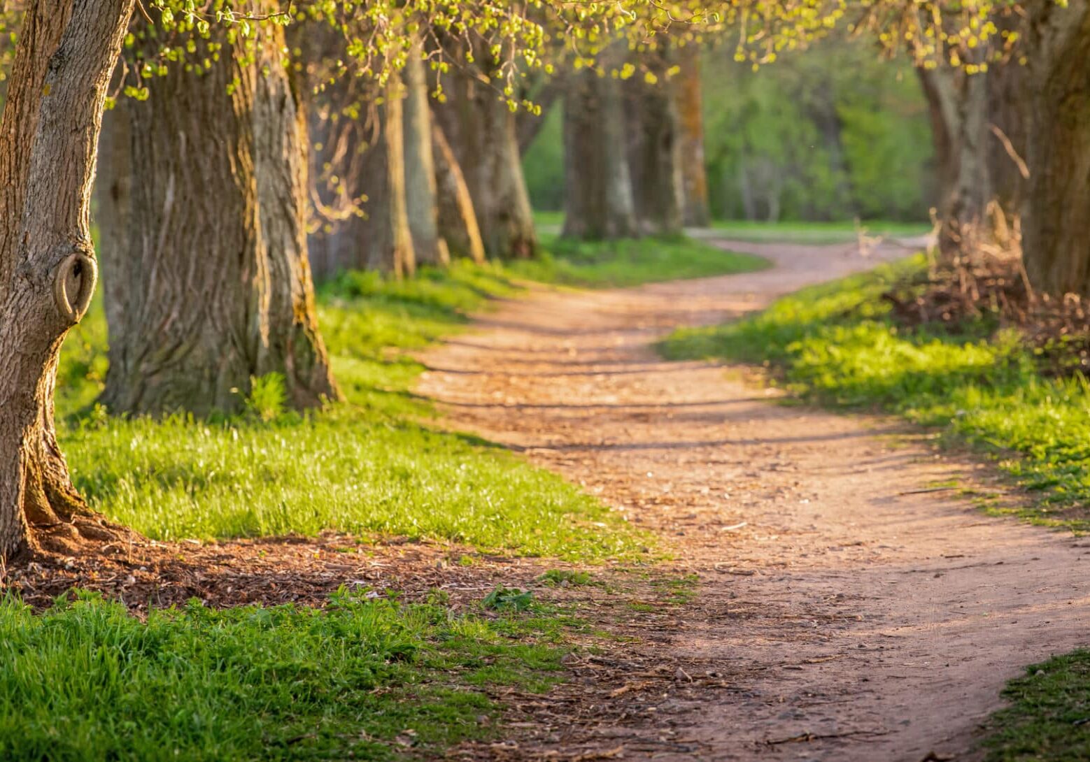 PathWays for Aging Indiana