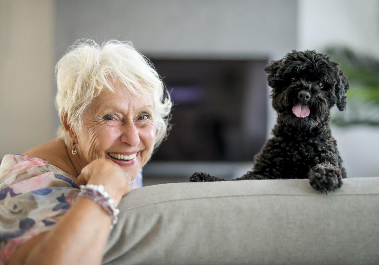 Smiling elderly woman with white hair leaning on a sofa beside a small black curly-haired dog with its tongue out nearby on the couch.