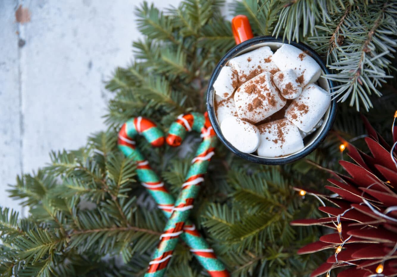 Heartfelt Thank You During the Holidays
